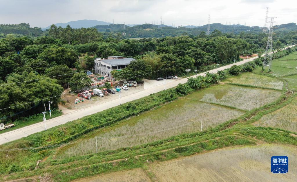 风风棋牌有挂吗